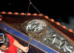 images/pesca/pesca3.jpg